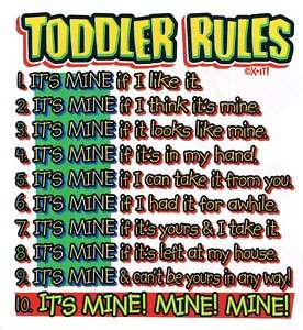 TODDLERS RULES ITS MINE Cute Kids Girls Boys Funny Tee  
