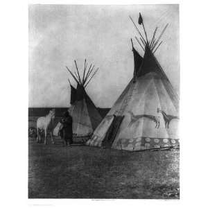 Blackfoot tipis,tepee,c1926,Indian,white horse,Native 