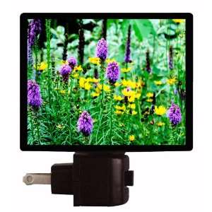  Floral / Flower Night Light   Liatris and Coreopsis LED 