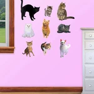  Animal Fathead Wall Graphic Cats: Sports & Outdoors