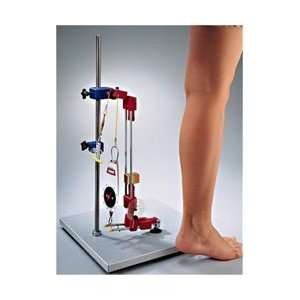  Complete Biomechanical Kit, Leg and Arm Models Included 