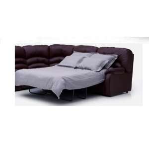    Moore Leather Match Reclining Sleeper Sectional