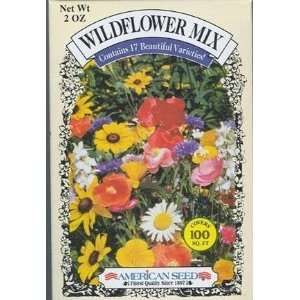  Wildflower Seed Mix Sunny Area 100 Sq Ft 2 Oz: Patio, Lawn 