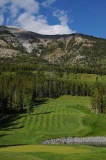 NEW mens WHITE Hybrid Golf Clubs taylor fit custom made 5 CLUB 25° +1 