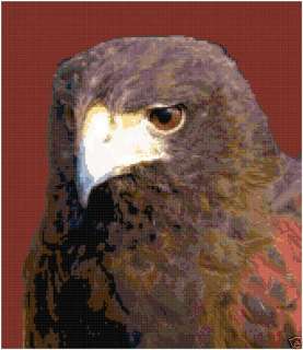 Hawk Bird of Prey Counted Cross Stitch Pattern  