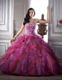   Quinceanera Masquerade Party Dress Prom Ball Gown Size Custom  