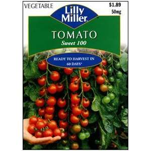  Tomato Sweet 100 (small cherry) Patio, Lawn & Garden