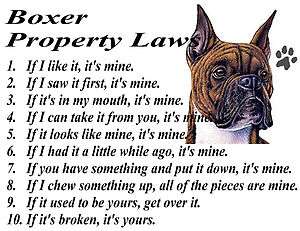 BOXER Cropped Ear Breed PROPERTY LAWS OF DOG T SHIRT  