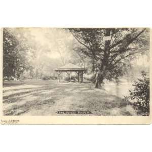   Postcard Scene in Island Park Ann Arbor Michigan 