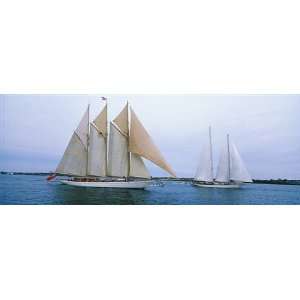   Poster/Decal   Sailboats in Narragansett Bay, Newport