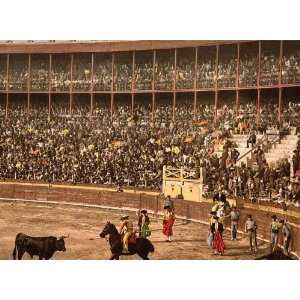  Vintage Travel Poster   A bull fight Barcelona Spain 24 X 