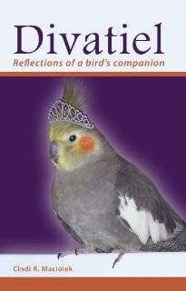 Divatiel: Reflections of a birds companion