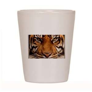  Shot Glass White of Sumatran Tiger Face: Everything Else