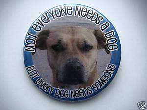 Every PIT BULL DOG Needs Someone shelter button RESCUE  