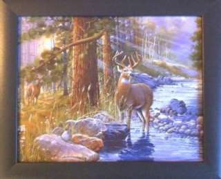 Framed Deer Buck Prints Woods Hunting Theme Posters  