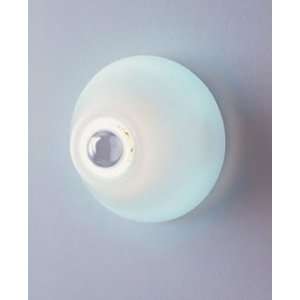  Candela Wall Sconce   110   125V (for use in the U.S 