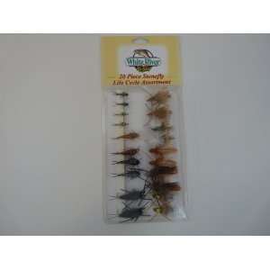  White River 20 Piece Stonefly Life Cycle Assortment 
