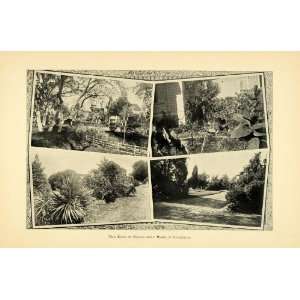   Gardens Stockton California   Original Halftone Print