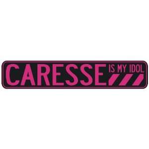   CARESSE IS MY IDOL  STREET SIGN: Home Improvement