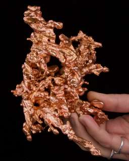   Skeletal Coral Shaped COPPER Caledonia Copper M MI for sale  