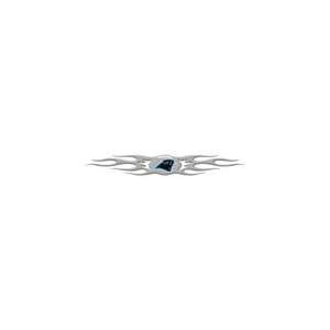   NFL Carolina Panthers Decal   XL Flame Graphic: Sports & Outdoors