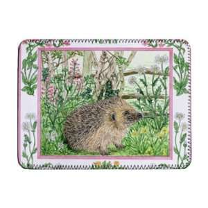 May (w/c on paper) by Catherine Bradbury   iPad Cover (Protective 