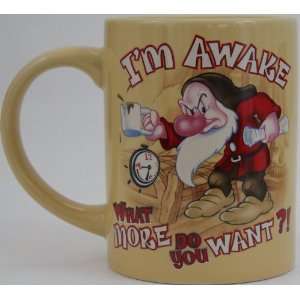   Awake, What More Do You Want?! Ceramic Coffee/Hot Cocoa/Tea Mug