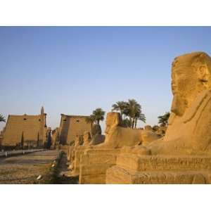 Avenue of Sphinxes Leading Up to Luxor Temple, Egypt Photographic 