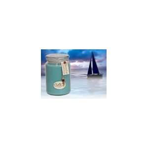  25oz Paradise Scented Natural Soy Jar Candle: Home 