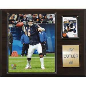  NFL Jay Cutler Chicago Bears Player Plaque: Sports 
