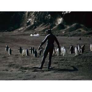 Self Portrait of Bill Curtsinger with a Group of Chinstrap Penguins 