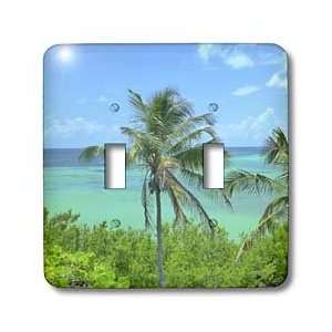     Palm Keys Perfection   Light Switch Covers   double toggle switch