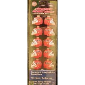   Gators Set of 2 Tailgate or Christmas Lights *SALE*: Sports & Outdoors