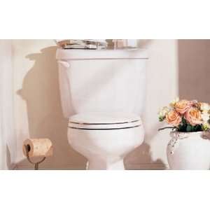  American Standard Cadet Toilet   Two piece   2898.014.210 