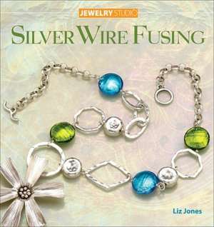  Magical Metal Clay Jewelry by Sue Heaser, KP Books 