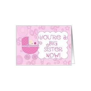  Youre a Big Sister Now  New Baby Girl/Sister Card: Health 