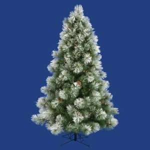   Clear Pre Lit Flocked Scotch Pine Christmas Tree