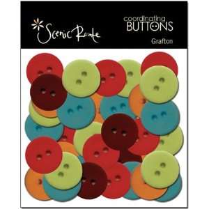  Scenic Route Grafton Buttons Arts, Crafts & Sewing