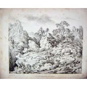    1807 Landscape Mountains Trees Ackermann Bryant