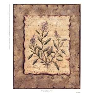  Vintage Herbs Sage Finest LAMINATED Print Constance Lael 