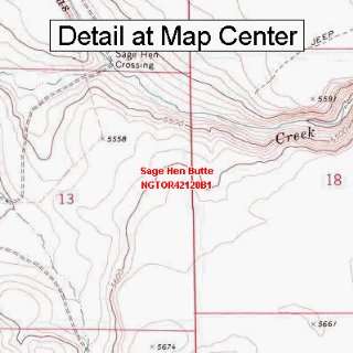 USGS Topographic Quadrangle Map   Sage Hen Butte, Oregon (Folded 