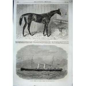  1864 Blair Athol Horse Derby Steamer Ship Avalon Sail 