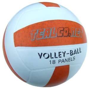   , Glow in the Dark Light up Volleyball 