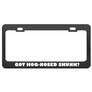 Got Hog Nosed Skunk? Animals Pets Black Metal License Plate Frame 