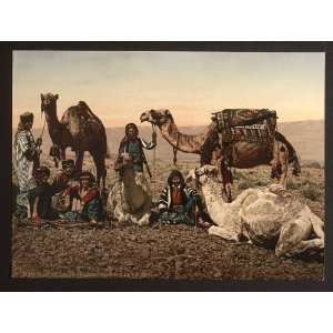Photochrom Reprint of Camels halting in the desert, Holy Land