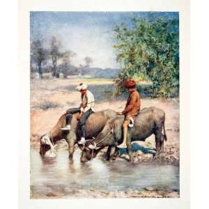  1912 Color Print Leisure Hours India Animals Indigenous 