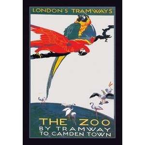   printed on 12 x 18 stock. London Zoo: The Macaw: Home & Kitchen
