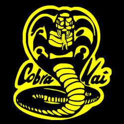 Cobra Kai Karate Kid T shirt Movie Cool 5 Colors S 3XL  