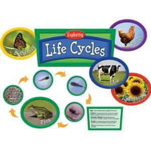  Exploring Life Cycles Toys & Games