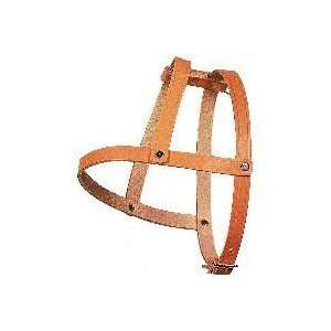    Orrco Inc 5/8X22In Tan Leather Dog Harness 00718: Pet Supplies